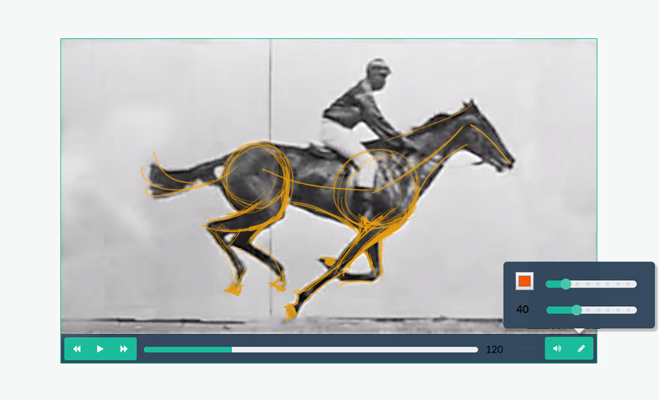 mybridge_horse